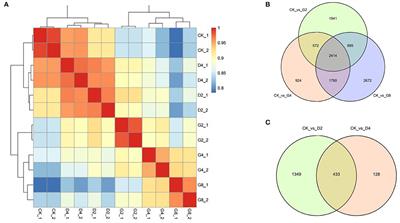 Transcriptome Analysis of Moso Bamboo (Phyllostachys edulis) Reveals Candidate Genes Involved in Response to Dehydration and Cold Stresses